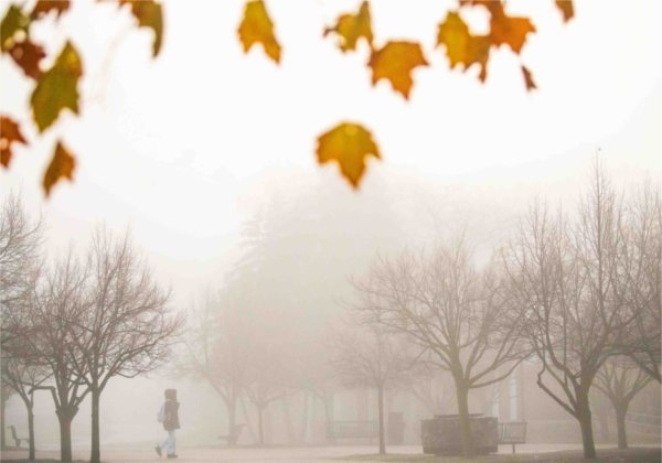  A pedestrian walks on a foggy campus with autumn color.