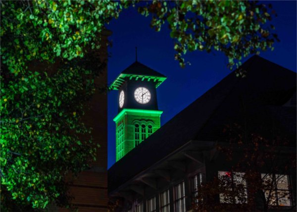  A carillon tower is lit green in honor of Veterans Day.